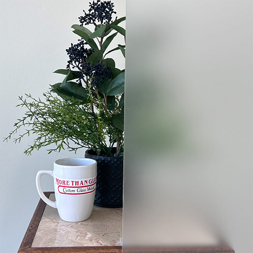 DSB Ground Cabinet Door Glass With Heavy Frost Fully Obscuring Plant – More Than Glass